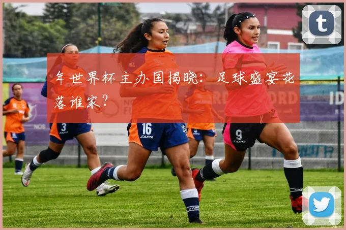 年世界杯主办国揭晓:足球盛宴花落谁家?