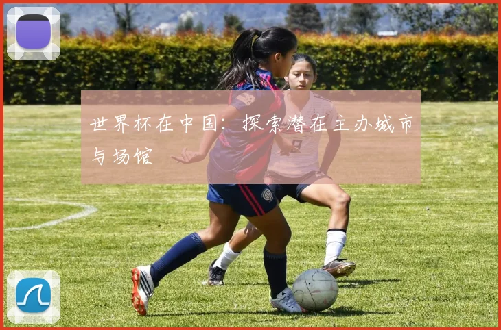 世界杯在中国:探索潜在主办城市与场馆