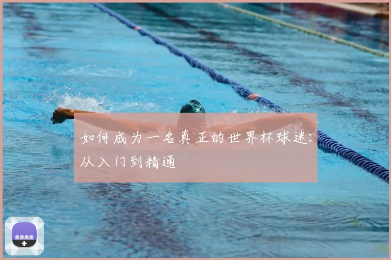 如何成为一名真正的世界杯球迷：从入门到精通