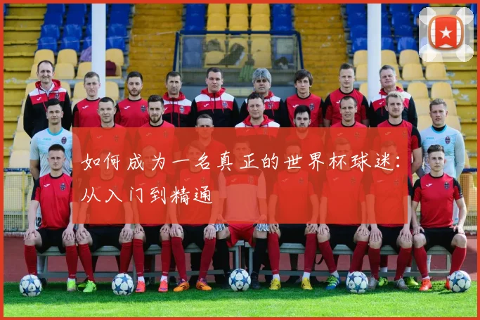 如何成为一名真正的世界杯球迷:从入门到精通