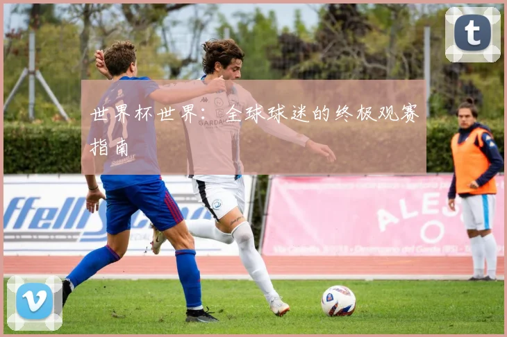 世界杯世界:全球球迷的终极观赛指南